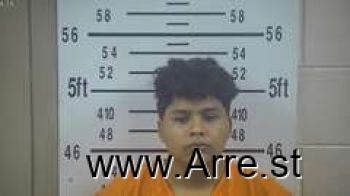 Jose  Hernandez-lopez Mugshot