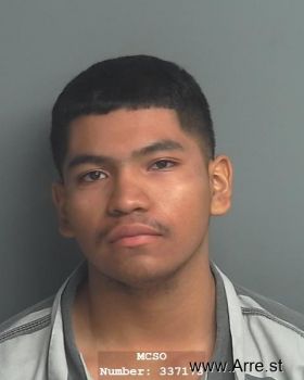 Jose Luis Trejo Jr Mugshot