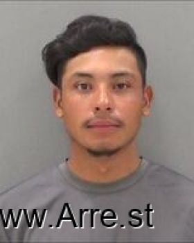 Jose  Villarreal Mugshot