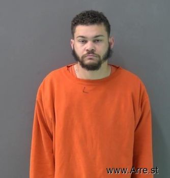 Jason Luis Nelson Mugshot