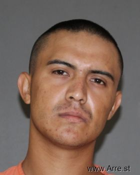 Javier  Reyes-navarrete Mugshot