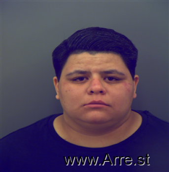 Jerri  Velasquez Mugshot