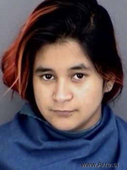 Jessenia Rossario Garcia Mugshot