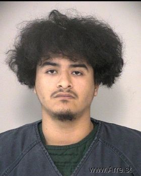 Jesus Jr Delgado Mugshot