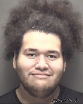 John Karlo Mejia Mugshot