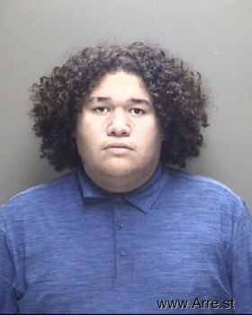 John Karlo Mejia Mugshot