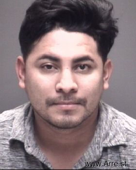 Jose Ronaldo Acosta Yanes Mugshot