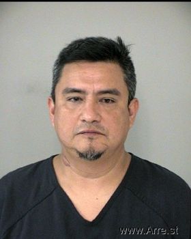 Jose Isabel Mejia-castro Mugshot