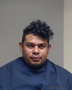 Jose Elias Mejia-orellana Mugshot