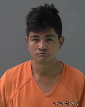 Jose Fabricio Paz-mateo Mugshot