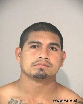 Jose  Rosales-sanchez Mugshot