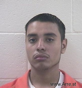 Jose Luis Villarreal Mugshot