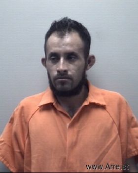 Juan Fransisco Contreras-martinez Mugshot