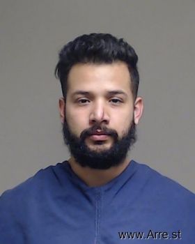 Juan Carlos Salas-medina Mugshot