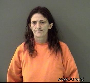 Julie Ann Johnson Mugshot