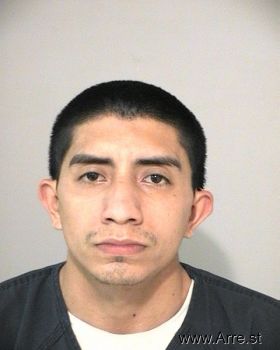 Julio  Navarro-dominguez Mugshot