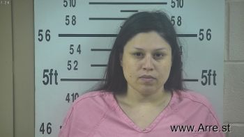 Kimberly  Vinton Mugshot