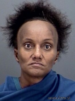 Karen Lashon Owens Mugshot