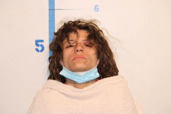 Kari Ann Manes Mugshot