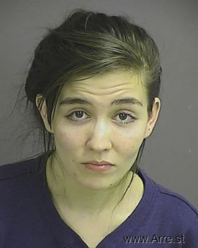 Kari Michele Turner Mugshot