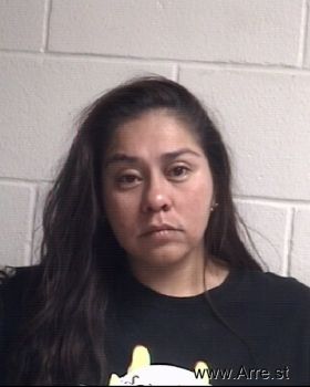 Krystal Lynn Gonzales Mugshot