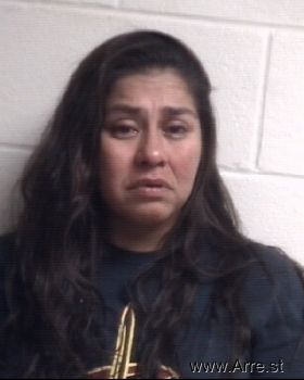 Krystal Lynn Gonzales Mugshot