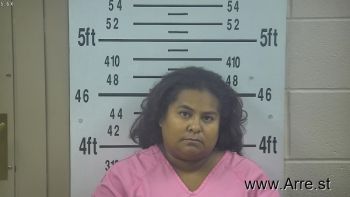 Lisa Marie Gonzalez Mugshot