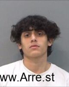 Luis  Alvarado Mugshot