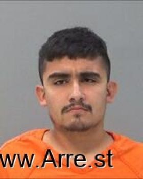 Luis  Arroyo Mugshot