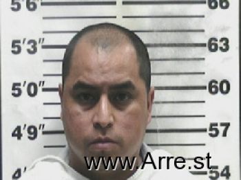 Luis Alberto Vasquez-morales Mugshot