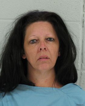 Laura Dianne Day Mugshot