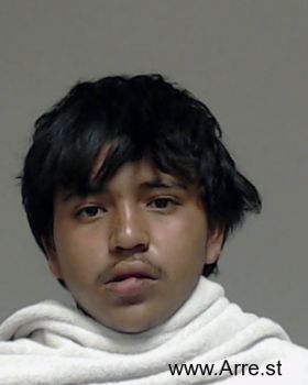 Leonardo Suyan Guzman-orellana Mugshot