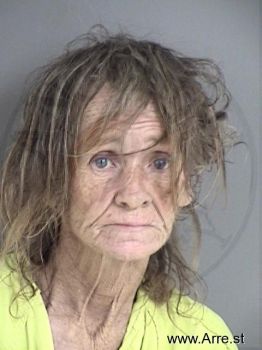 Linda Sue Honea Mugshot