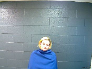 Lindsey Mae Collins Mugshot