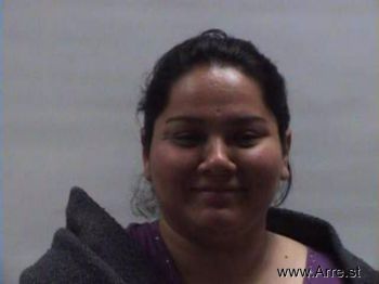 Lisa  Gonzalez Mugshot