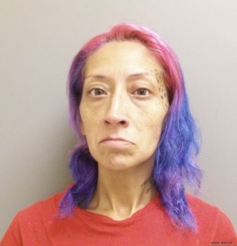 Lisa Marie Leyva Mugshot