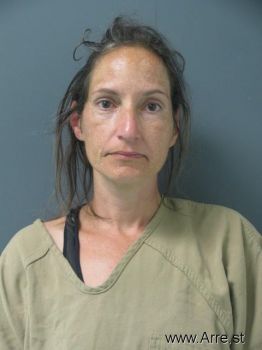 Lisa Marie Milam Mugshot