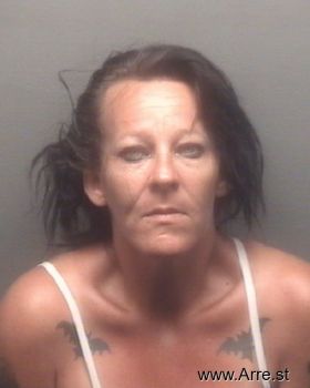 Lisa L Wilkins Mugshot