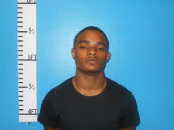 Lorenzo Paul Petry Mugshot