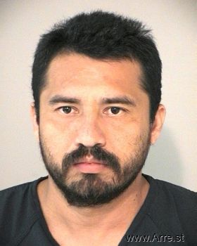 Lorenzo  Pineda-higuera Mugshot