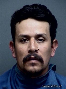 Luis  Chavez-hernandez Mugshot