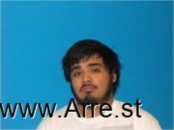 Luis David Dominguez-s Mugshot