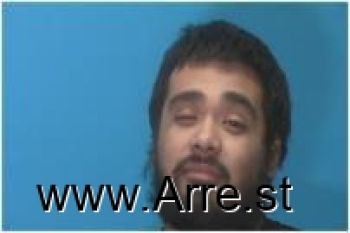 Luis David Dominguez-s Mugshot