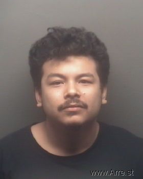 Luis R Leos Mugshot