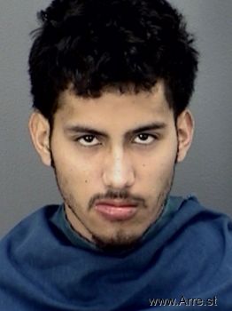 Luis Miguel Mendoza Mugshot