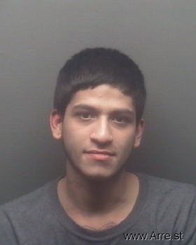 Luis  Palacios Mugshot