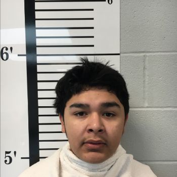 Luis Mario Ramirez Mugshot