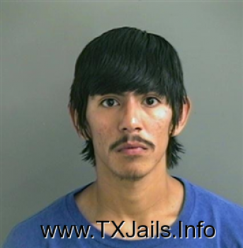 Luis  Rosales Mugshot