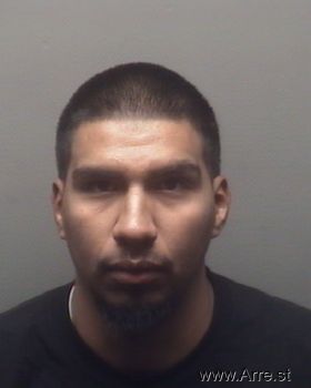 Luis  Rosas Mugshot