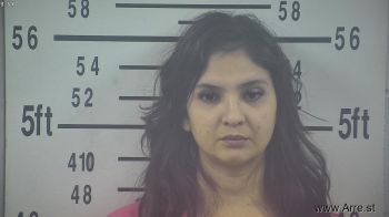 Maria Christina Martinez Mugshot